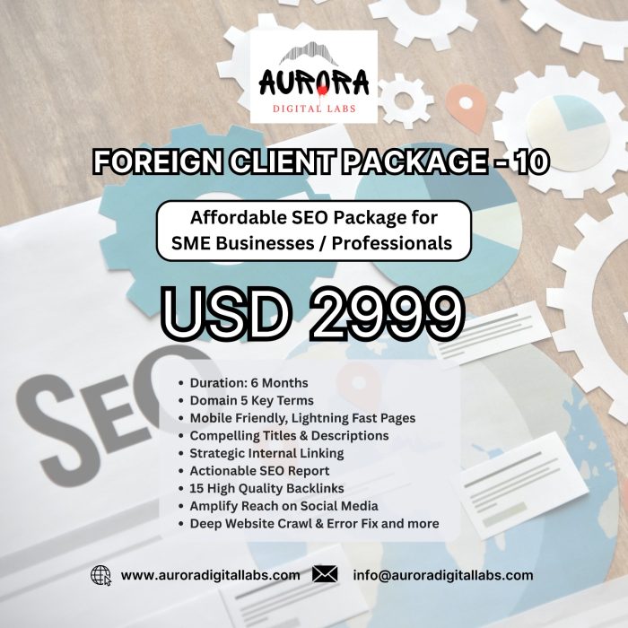 Foreign Client Package 10: Affordable SEO Package for SME Businesses / Professionals (Duration 6 Months)