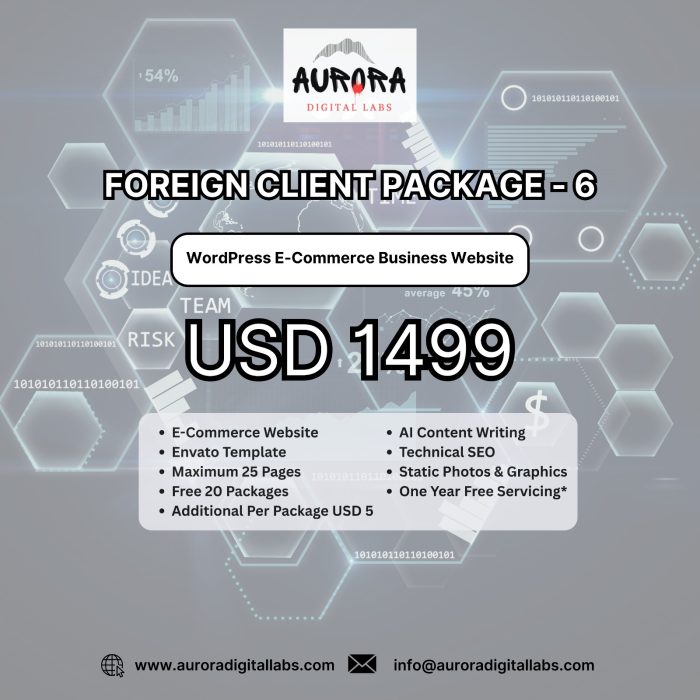 Foreign Client Package 6: WordPress Portfolio Business Website